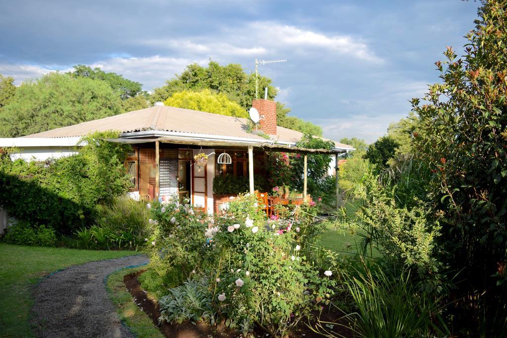 Patterson B&B Newcastle Exterior foto